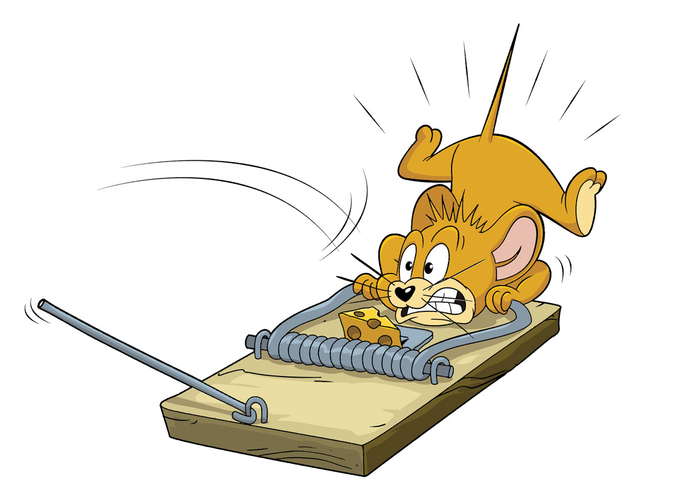 том и джерри 