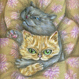 когда не хочешь разбудить