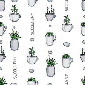 Паттерн. Суккуленты.
