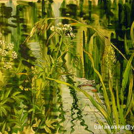 Красная стрекозка