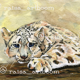 Звети (БАРС)