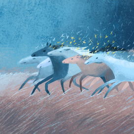 Звездные лошадки