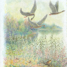 Легкий хлеб (бел.ск.) (2008 г.)