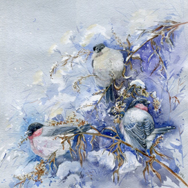 Уссурийские снегири