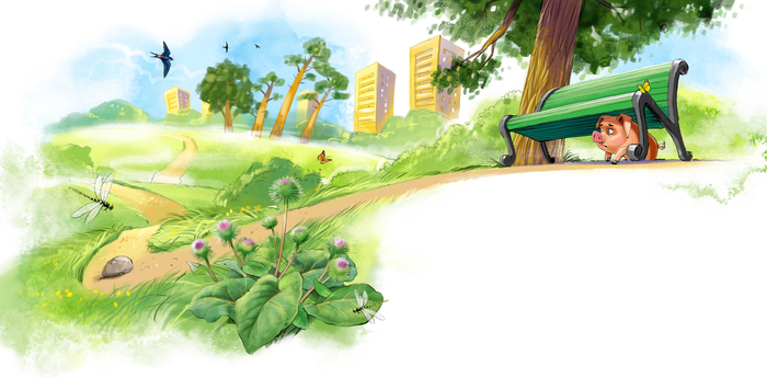 иллюстрация к книге