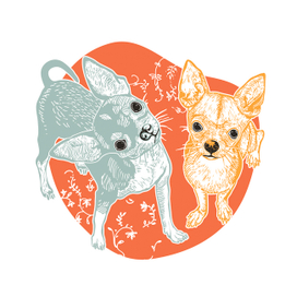 Эльфы Мексики