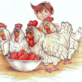 Мы это не едим