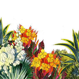 Иллюстрация( пример )