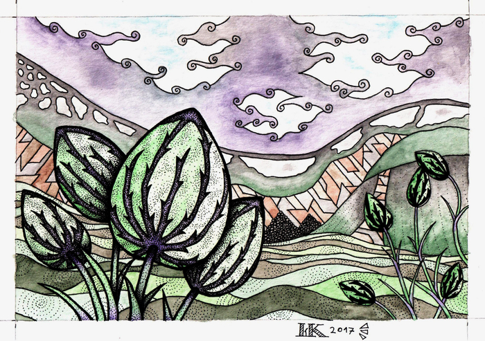 Цветы Алтая