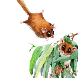 К книге про самых маленьких. 