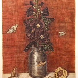 черная мальва