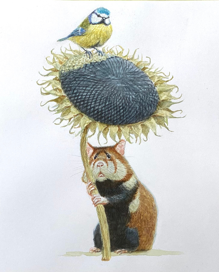 С Праздником, дорогие! Цветок сухой, неказистый, но полезный.