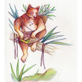 Древесный Кенгуру