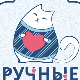 Сердечный котик