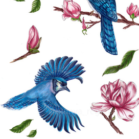 Стикерпак "Сойки в магнолиях"