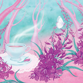 Иван-чай (цветы)