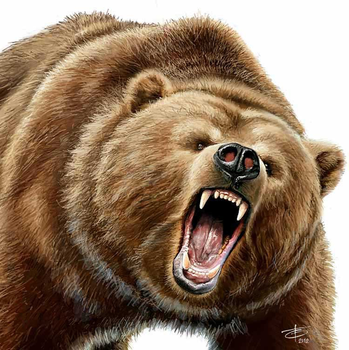 Неадекватный медведь