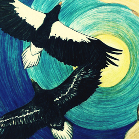 Иллюстрация для буклета о белоплечем орлане