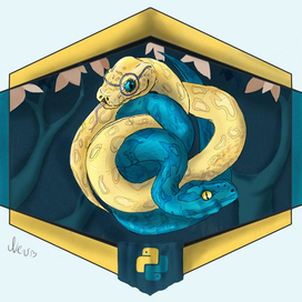 Python