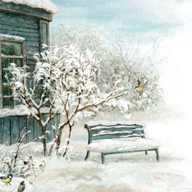 Сиреневый куст