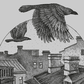 Петербургские вороны