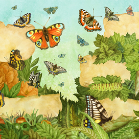 Большая Книга Насекомых