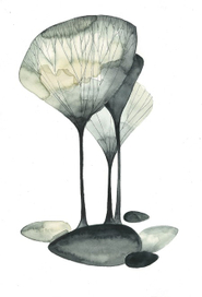 Из всего что-то вырастет.