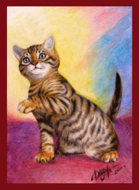 "Цирковой котик"