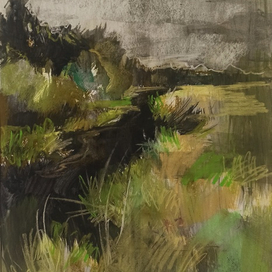 заливные луга