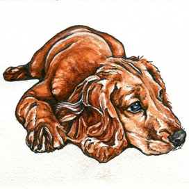 Иллюстрация Щенок 