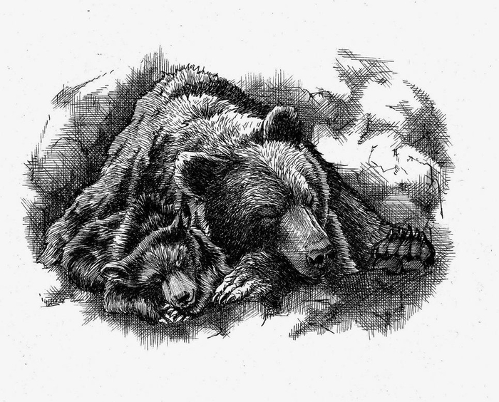 ГРИЗЛИ. Финал