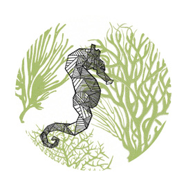 Морской конёк