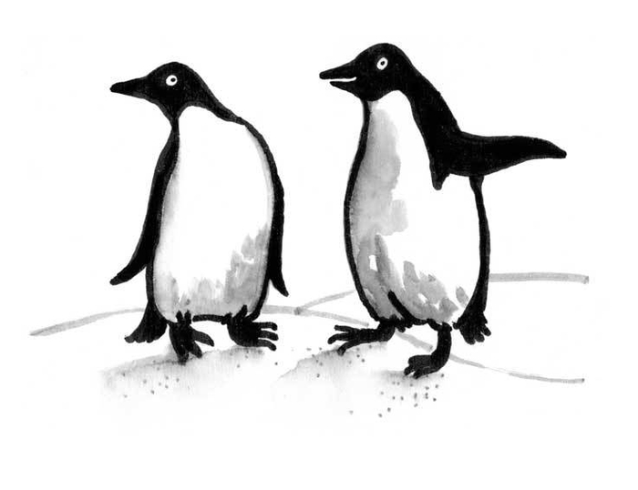 Пингвины