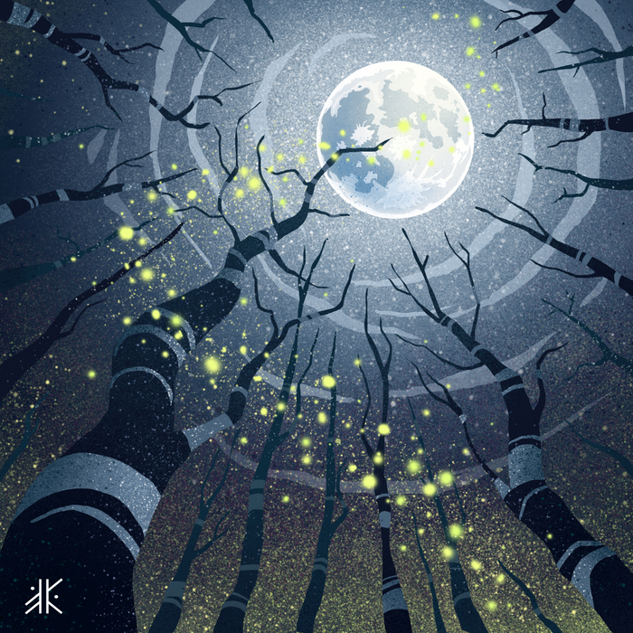 Ночная песнь