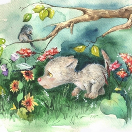 (без названия)