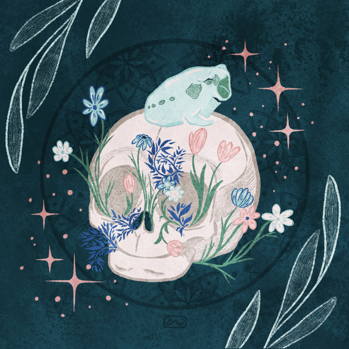 Черепушка и Лягушка