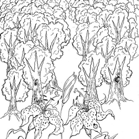 Лес - иллюстрация к стихотворению