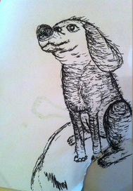 Маленький пес