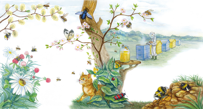 Про шмелей и пчел