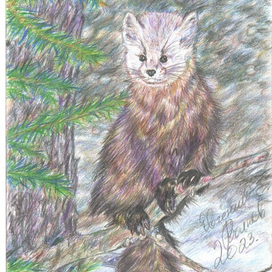 "Куница на ветке".