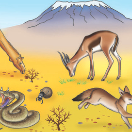 африка килиманджаро