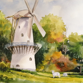 Старая мельница. Овечки