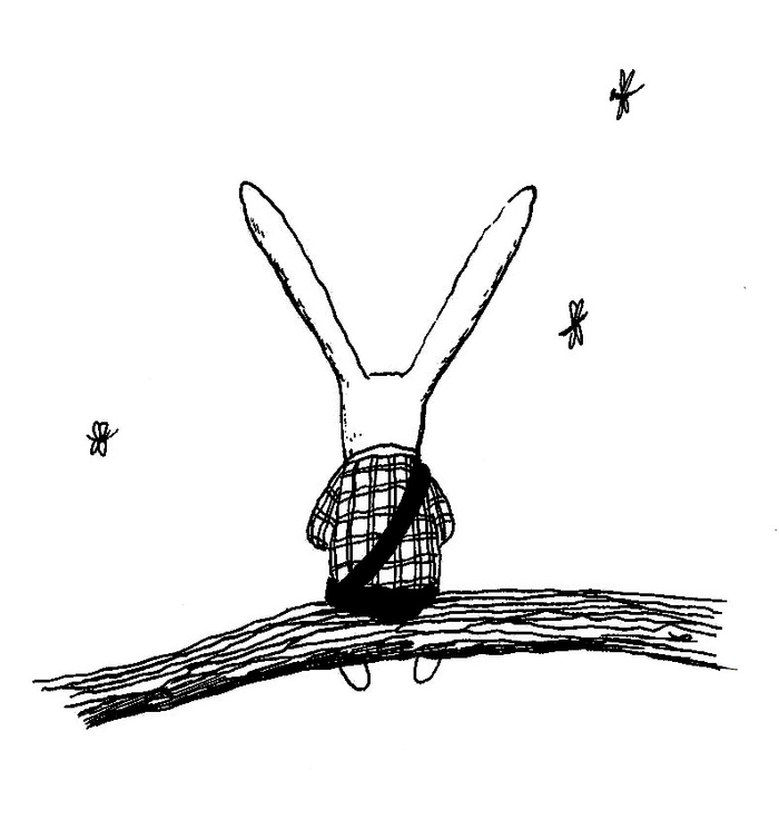 иллюстрация книга "Истории о маленьком кролике"