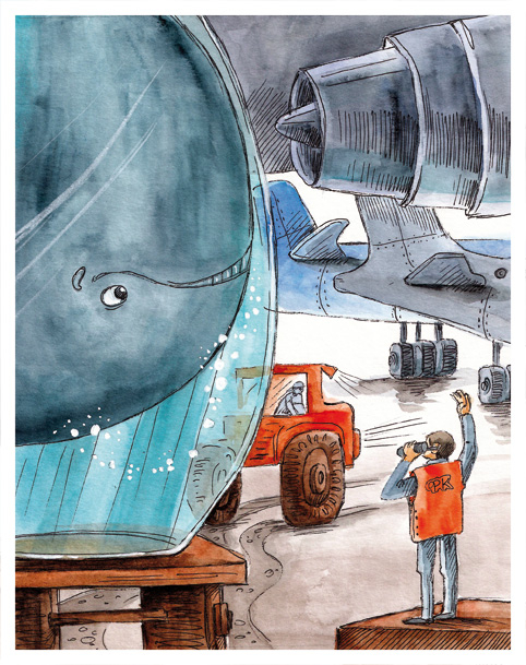 Миссия "Летающий кит"