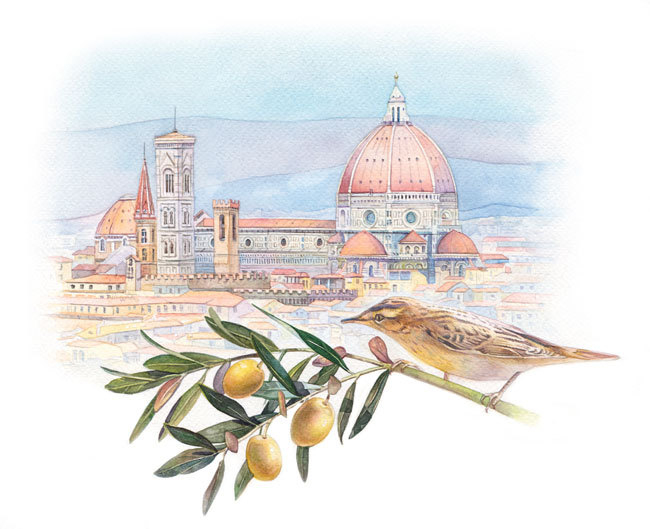 Под солнцем Тосканы. Флоренция.