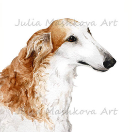 Портрет борзой