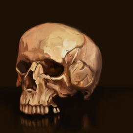 skull