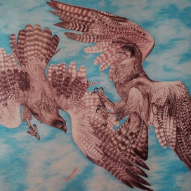 соколиная свадьба