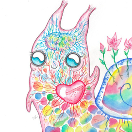 Анатомия радужной улитки