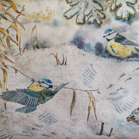 Лазоревки зимой